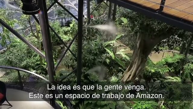 Las esferas futuristas de Amazon abren sus puertas en Seattle