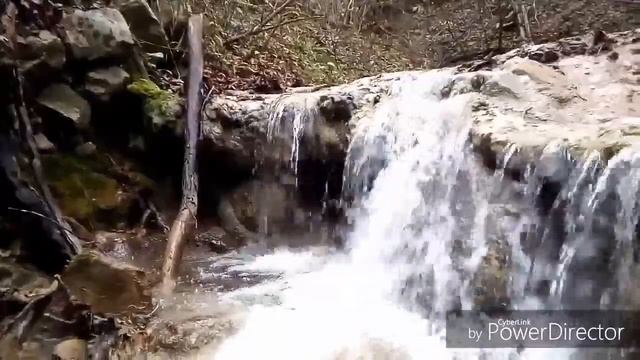 Прогулка в лесу ,,казачий хутор,,. 28 февраля 2018. Лазаревское(Сочи)