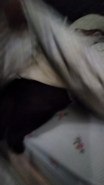 Сныкался