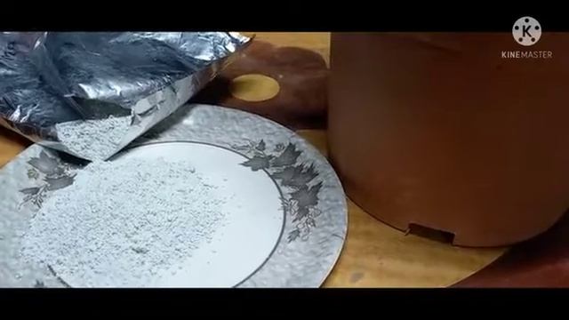 402- Use Of "Metarhizium Anisoplie" For Plants In Our Garden