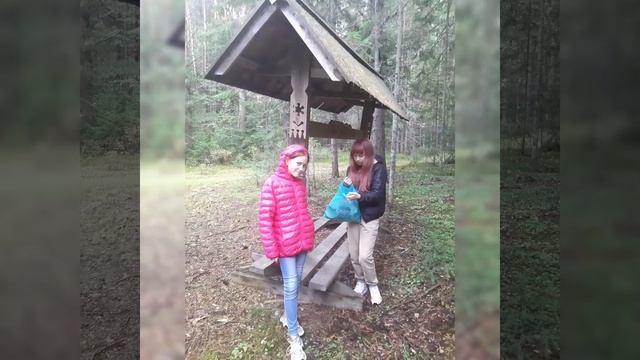 Ханты-Мансийский район, август, грибы