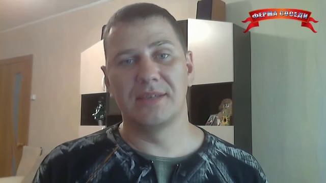 Ферма Соседи   С чего начать. Обзор для Новичков