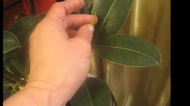 Повседневная жизнь в Сибирской деревне\ Весна 2024 \ Вкусный домашний ужин #vlog #жизньвдеревне #до