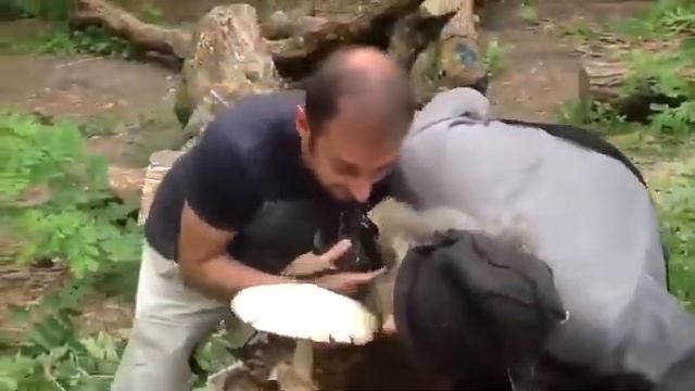ты чо мой гриб снимаешь это же мой гриб