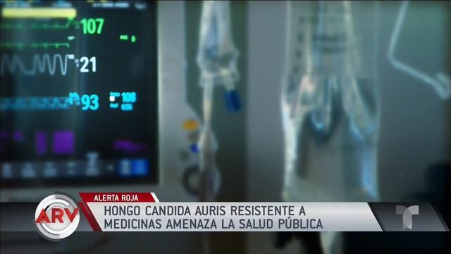 Candida Auris amenaza la salud pública | Al Rojo Vivo | Telemundo