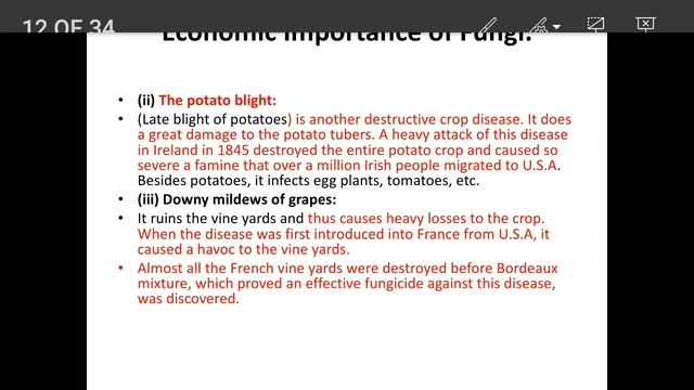 TYBSc SEM I |  Cryptogamic Botany | BO:331 | Economic Imp. of Fungi