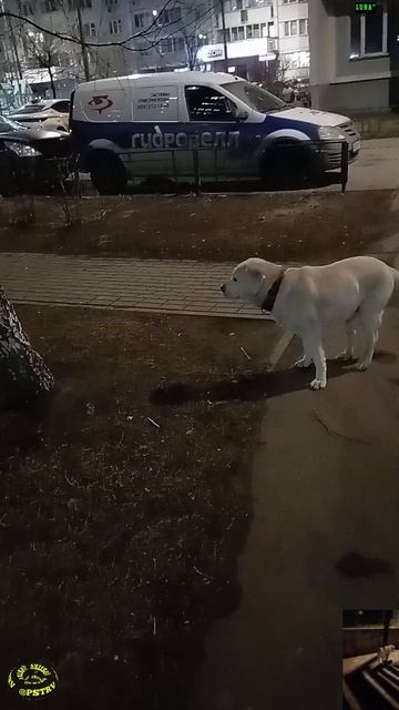 Телепаем по свежачку