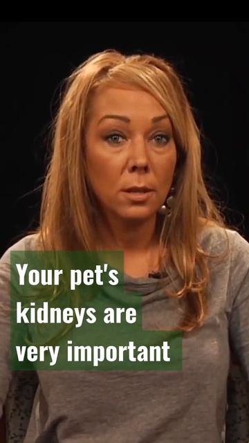 How Is Your Pet's Kidney Important? #shorts