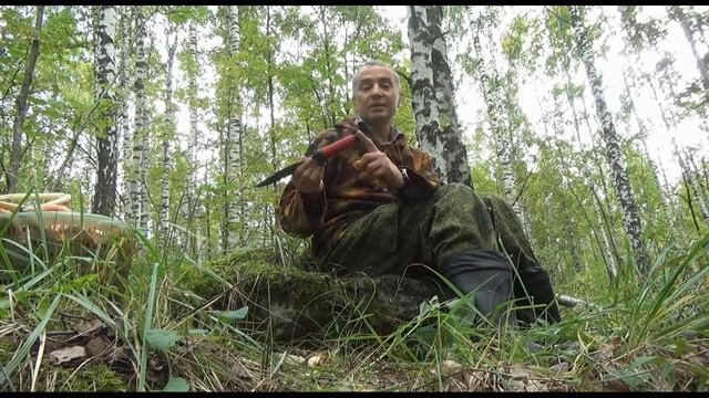 Не в горы а по грибы.