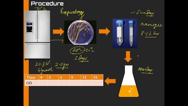 Yeast Growth