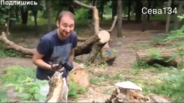 это мой гриб 🍄