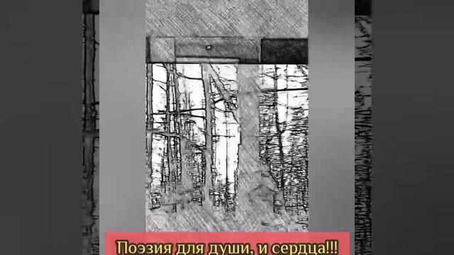 Я в Вашей памяти останусь.Поэзия души.#poetry
