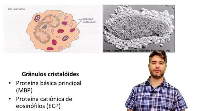 Imunidade e Infecção - aula 2, vídeo 1