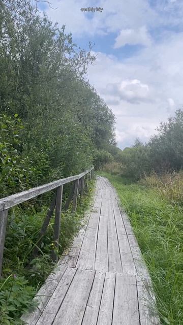 Дорога к большому валуну #земнойирий #новгородскаяобласть #местосилы #путешествие