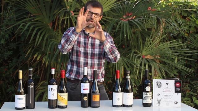 Los vinos de noviembre en Wineissocial