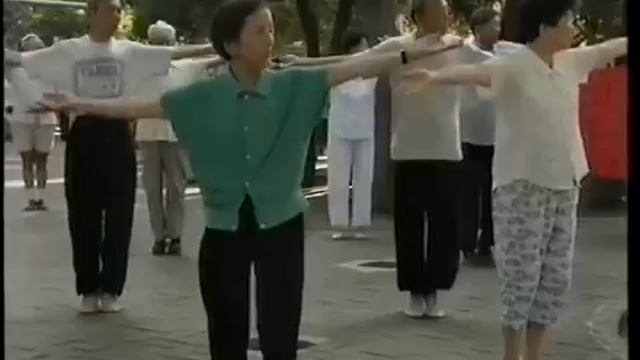 Zhan Zhuang - Standing Like a Tree (by Master Lam Kam Chuen)