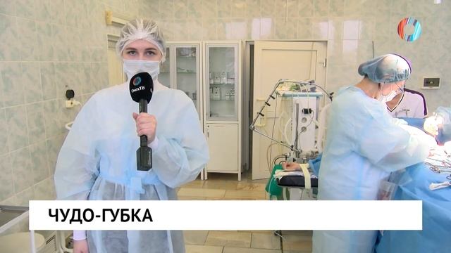 Чудо-губка