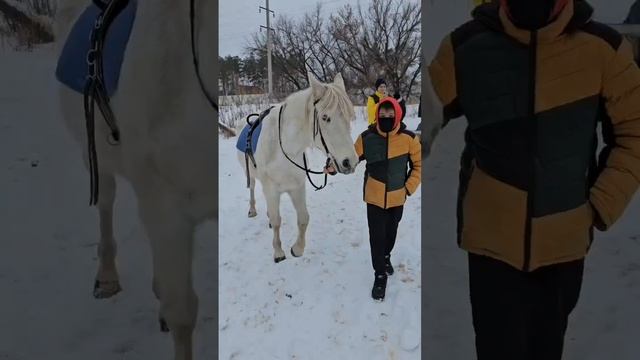 Экскурсия в Конный Клуб Тандем