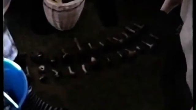 Как мы жили в СССР  Грибы и Грибники в Старинном лесу