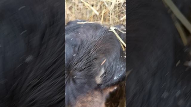 1000030994.mp4