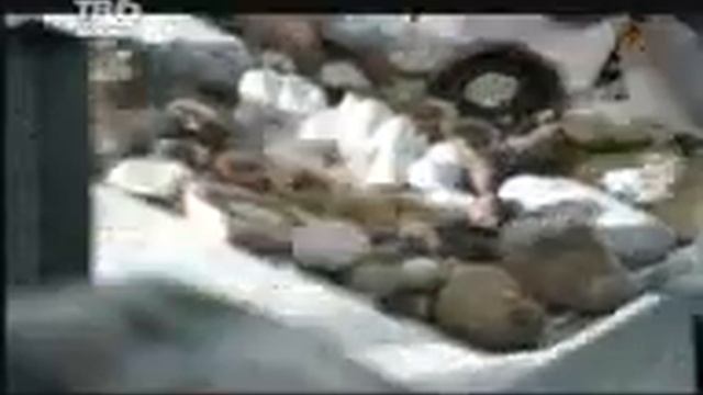 Кто Хочет в АРМИЮ?