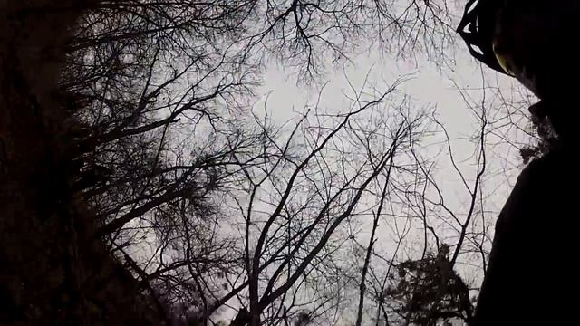 Нет,это Самарский лес!