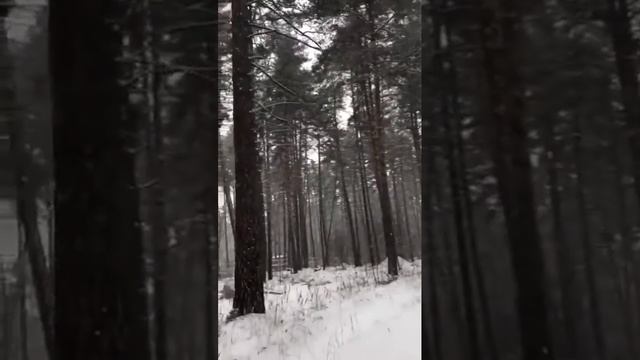 С Новым Годом! Поэзия Бян-Кин-До.