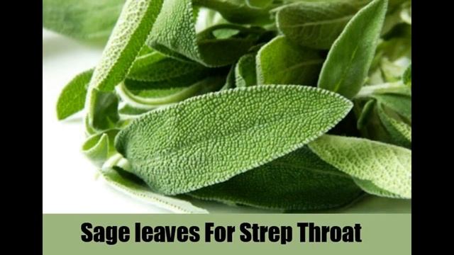 Rimedi naturali e casa per Strepto faringite cocchi