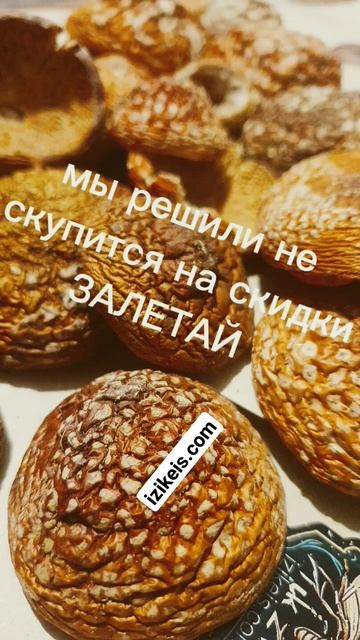 //● Мухомор Краснодар Сила растений и грибов