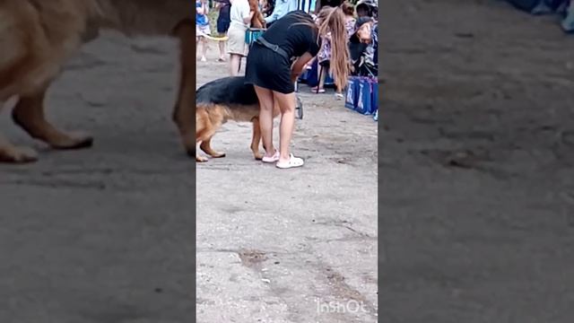 Граф получил Титул Юный Чимпион России.