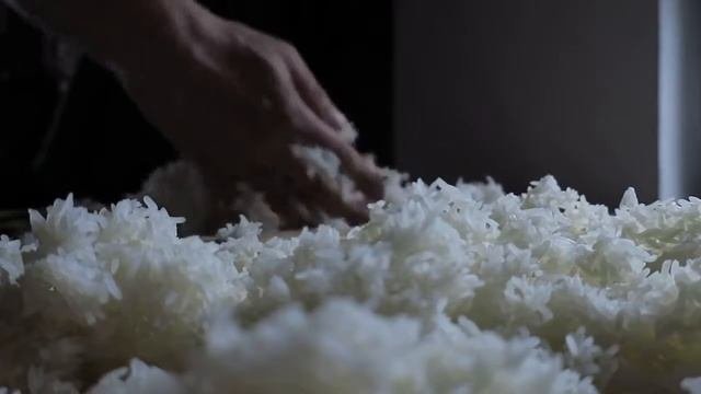 Spory Aspergillus Oryzae Na Jasmínové Rýži