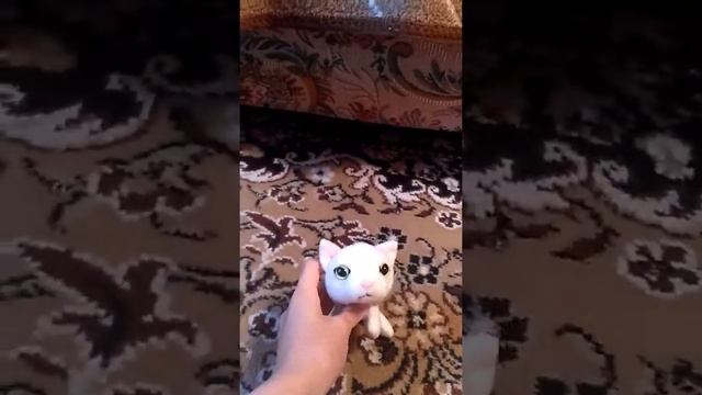 Моя коллекция  the cat collection!!!