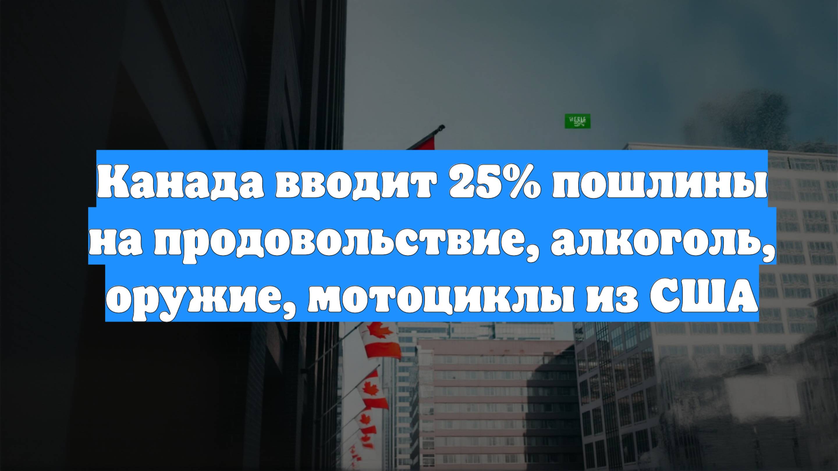 Канада вводит 25% пошлины на продовольствие, алкоголь, оружие, мотоциклы из США