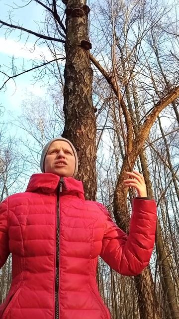 Городские грибы. Пародия на городские цветы.