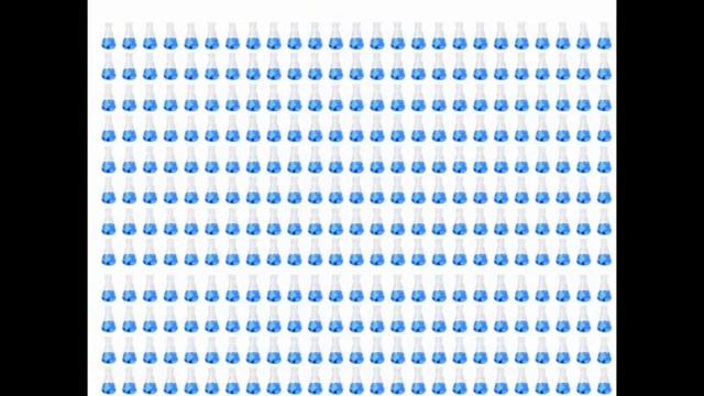 Brandon Penicillium Project