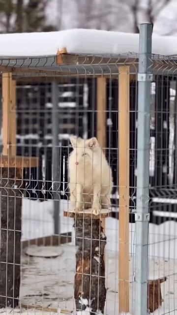 Парк- отель "Тэнгис" на Байкале