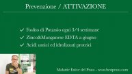 Le Malattie del Prato in Estate. Come Evitarle / BESTPRATO LIVE #77
