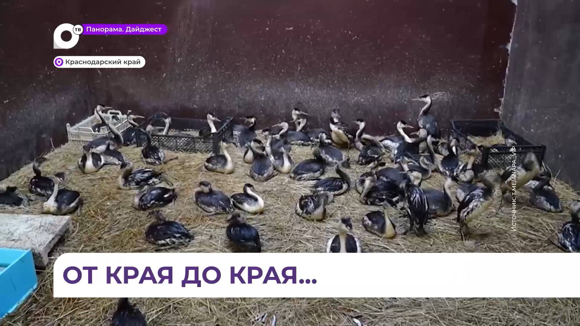 Двое приморцев приняли участие в ликвидации последствий ЧП у берегов Анапы