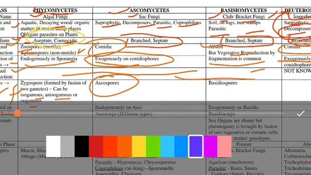 Fungi In One Chart / Important Examples Of Kingdom Fungi/Neet 2021