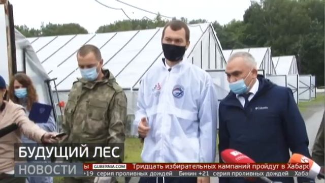 Будущий лес. Новости. 05/08/2020. GuberniaTV