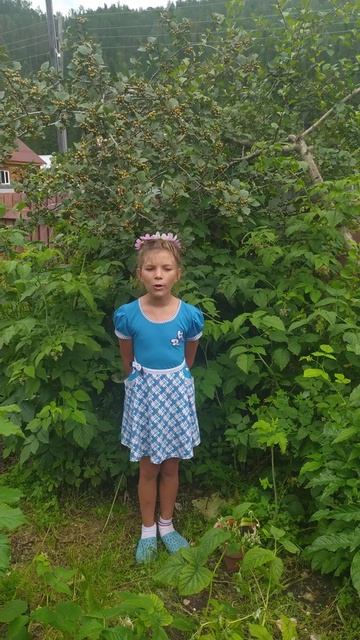 Канарик Арина, 11 лет В Высоцкий Вторая песня  Алисы