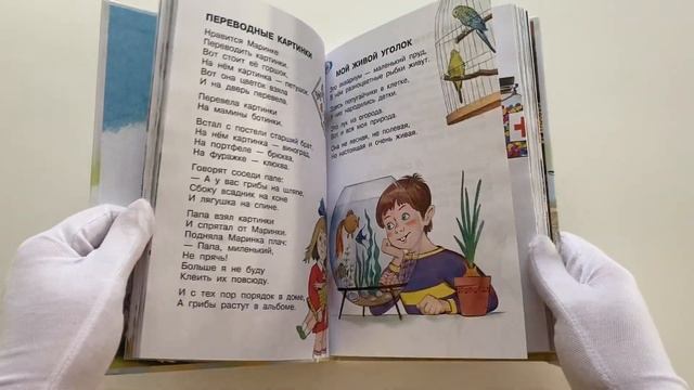 Птичий рынок. Весёлые стихи