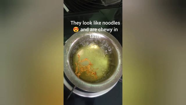 Cordyceps Mushrooms Tea