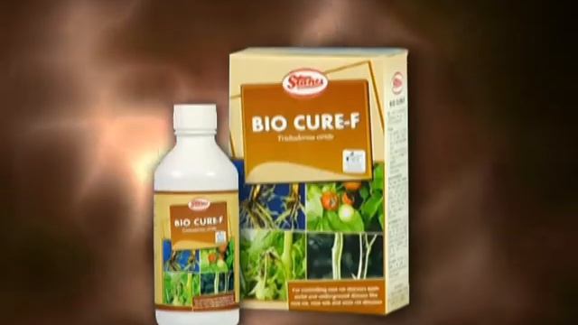 Stanes Bio-logical-products