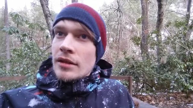 pt2. Psilocybin Mushroom Trip Report | "How much of me can you be?" Bizarre psychedelic ET contact