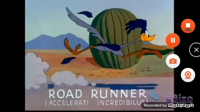 roadrunner and wile e latin translaters but in ornigal and revrese