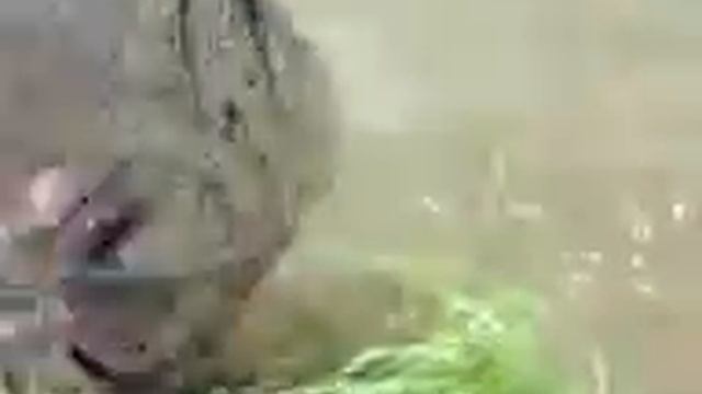 Большой Карась пойман в России