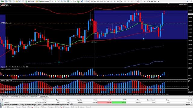 05 PIP TRIGGER Trade Setup