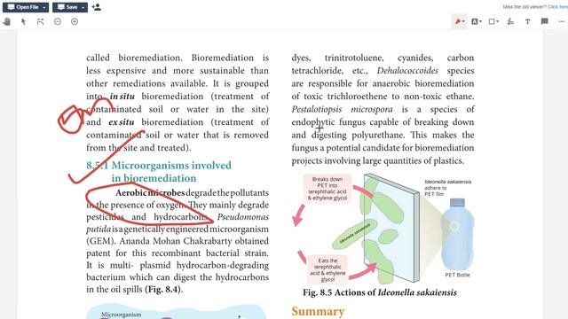 Deleted Portion And Questions To Study - Class 12/Zoo/chap 8/Microbes In Human Welfare