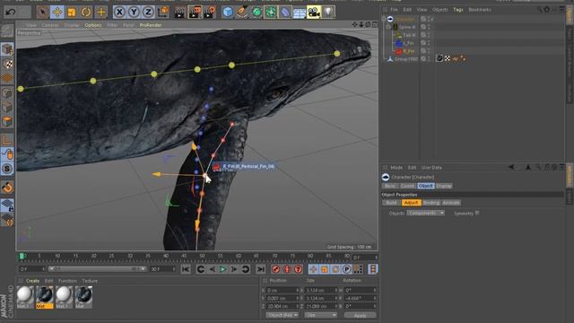 Quick Lesson/Animation of a Whale Model in Cinema 4d/Анимация Кита в Cinema 4D